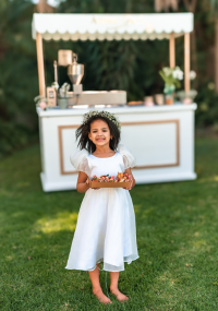 donuts cart amour glace food events (2)